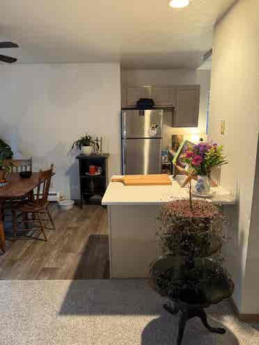 Looking for roommate