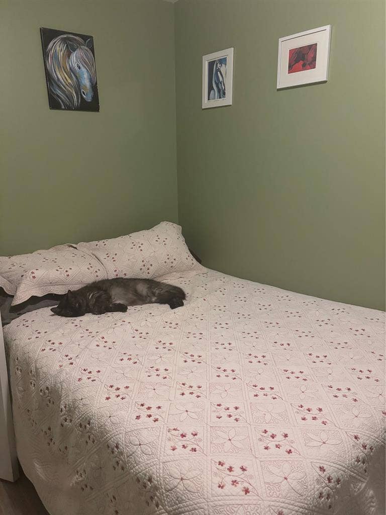 Room for Rent – $/month