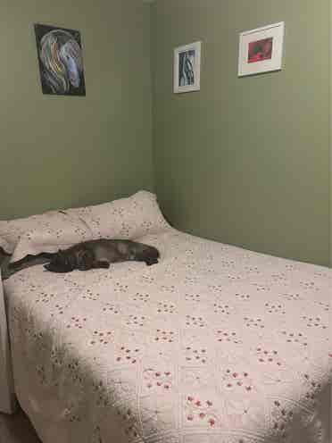 Room for Rent – $/month