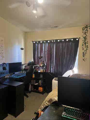 Single room in a shared house