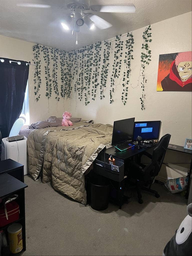 Single room in a shared house