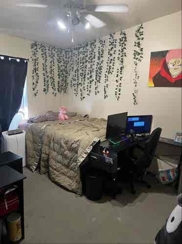 Single room in a shared house