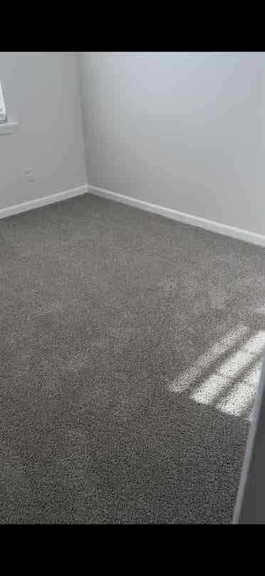 Roommate needed