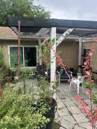 Room in great neighborhood