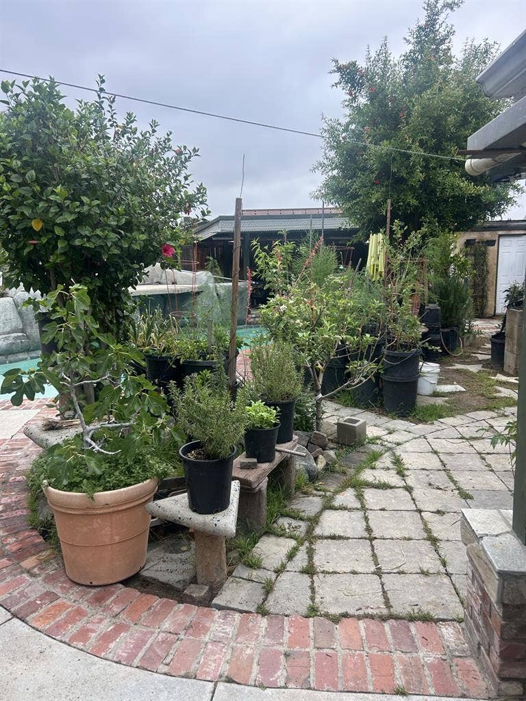 Room in great neighborhood