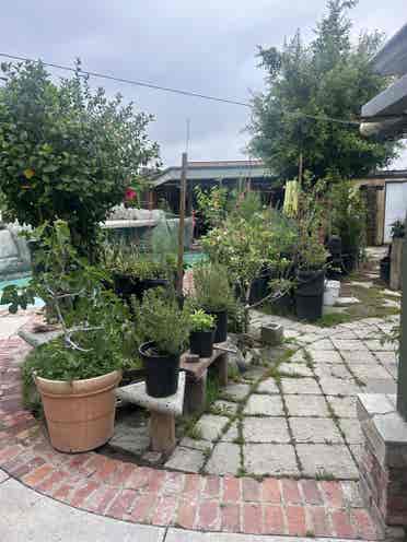 Room in great neighborhood