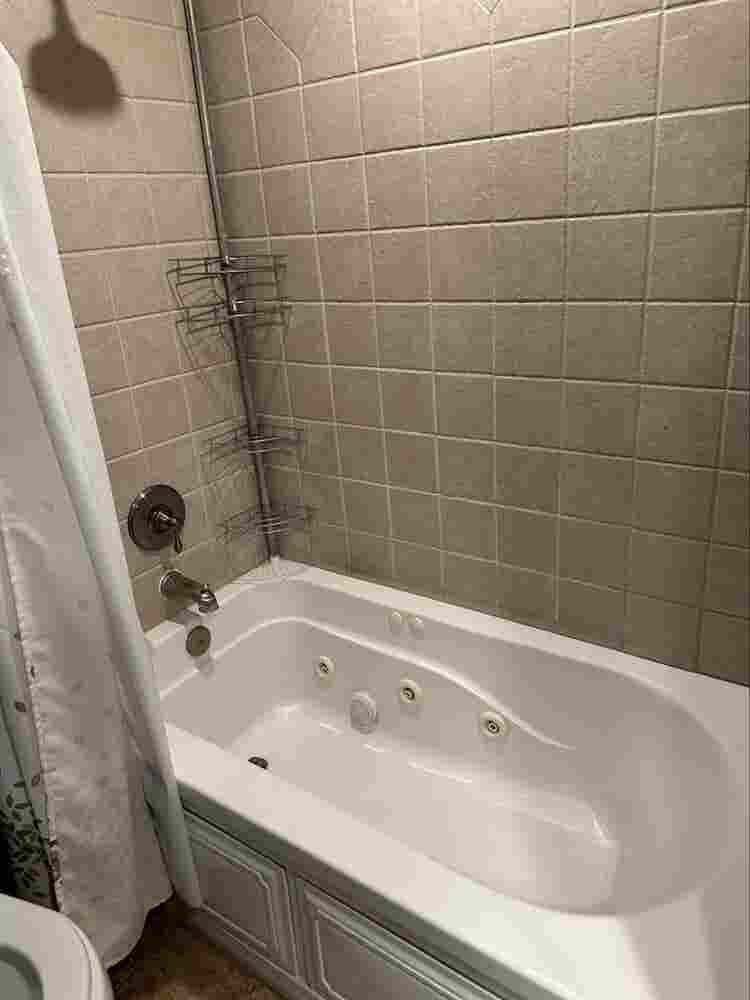 Nice room available August 1
