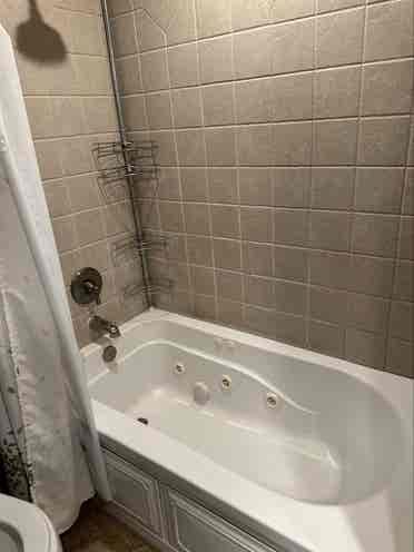 Nice room available August 1