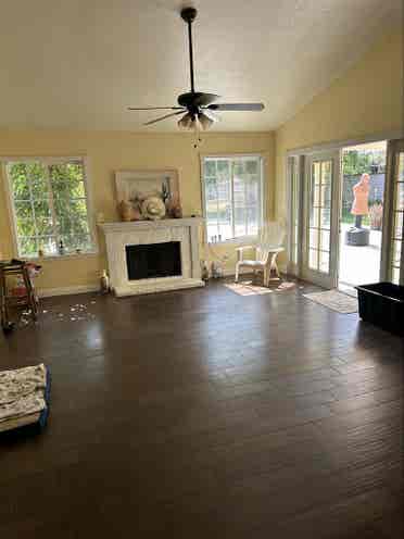 Nice room available August 1