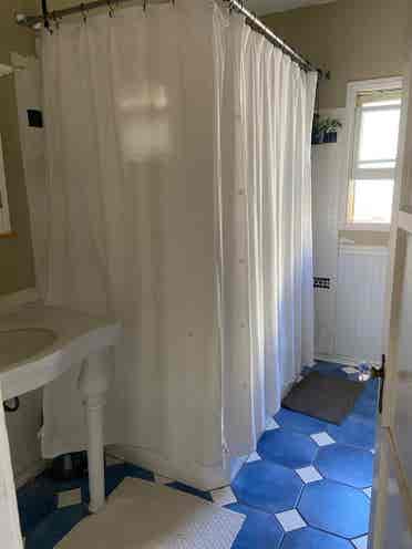 Room for rent in University Heights