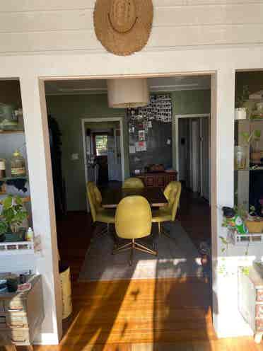 Room for rent in University Heights