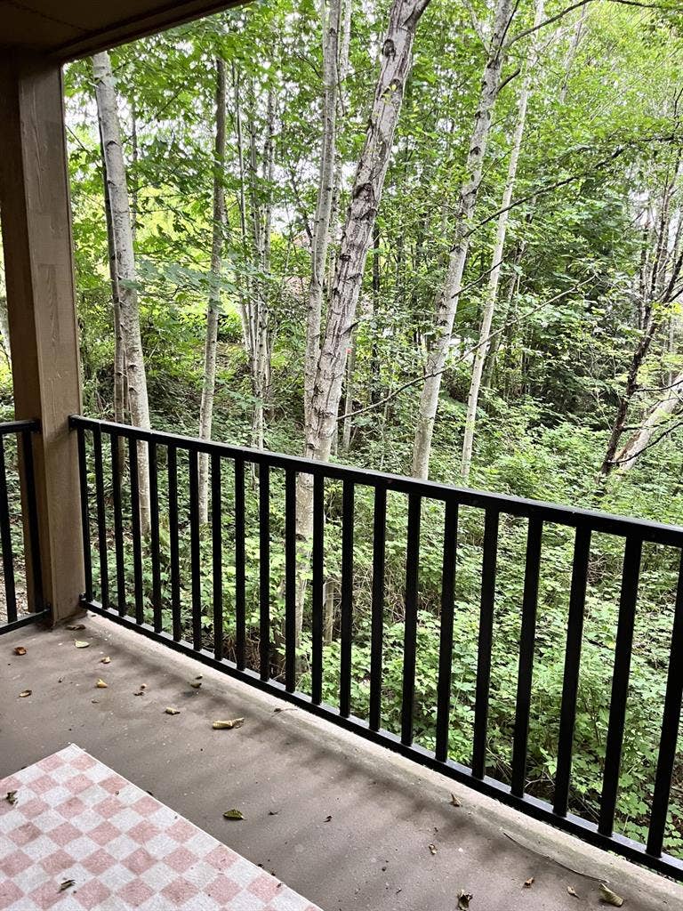Beautiful Condo near UW Bothell
