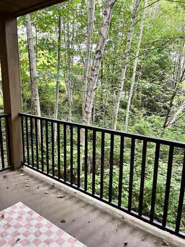 Beautiful Condo near UW Bothell