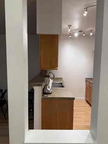 Beautiful Condo near UW Bothell
