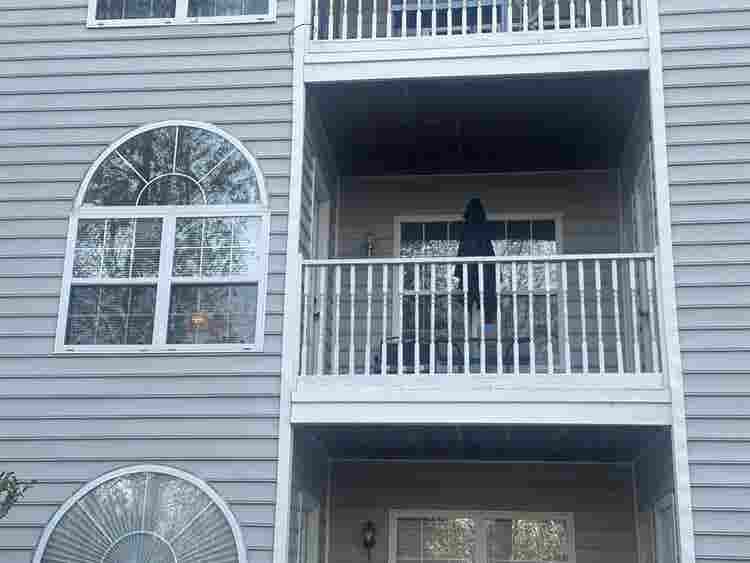 Room, bathroom,& living space 4rent