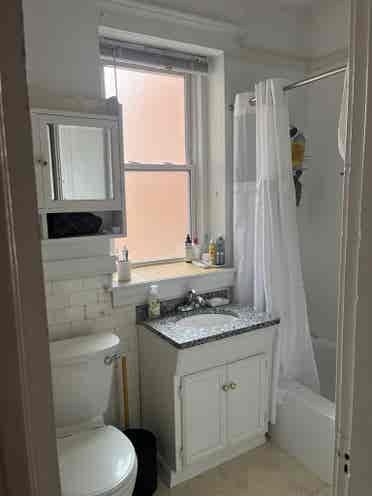 Hi! I’m looking for a new roommate!