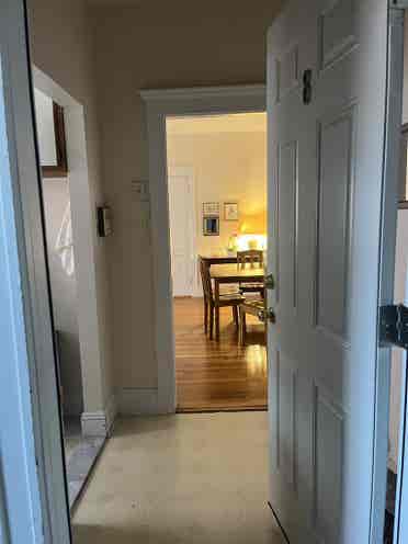 Hi! I’m looking for a new roommate!