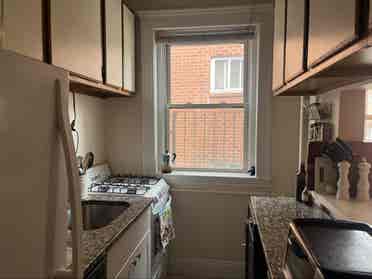 Hi! I’m looking for a new roommate!