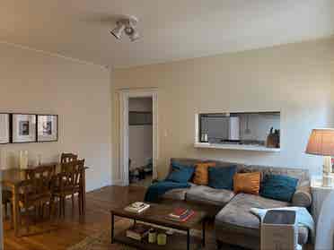 Hi! I’m looking for a new roommate!