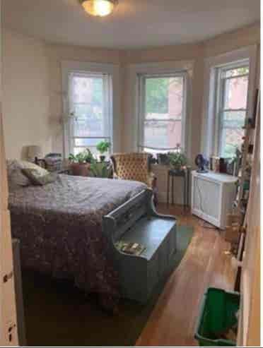 Hi! I’m looking for a new roommate!