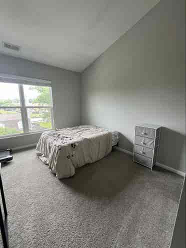 Roommate for great building