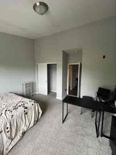 Roommate for great building