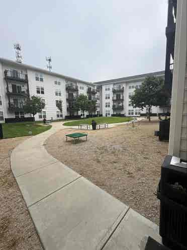 Roommate for great building