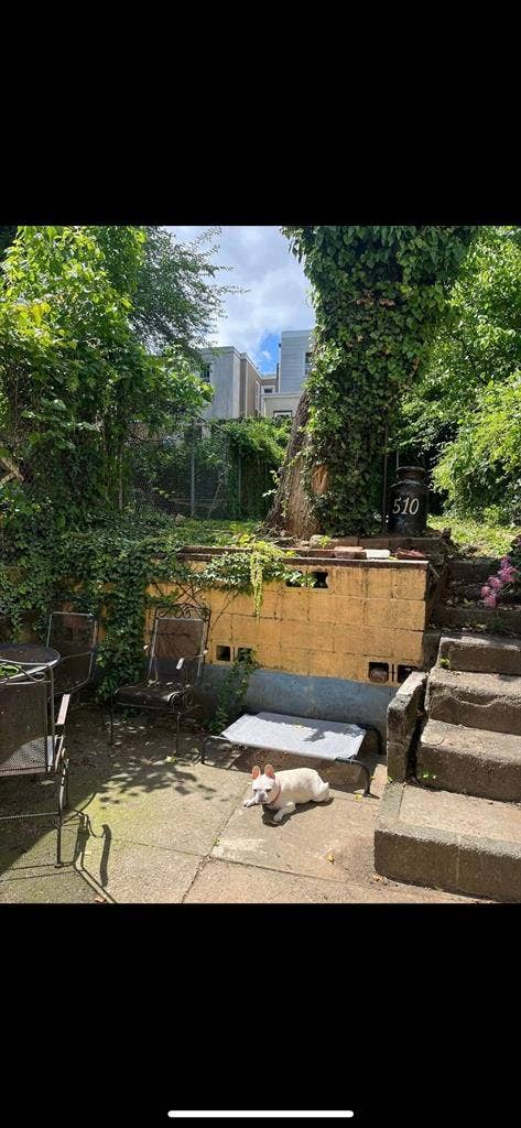 Room for rent in East Falls