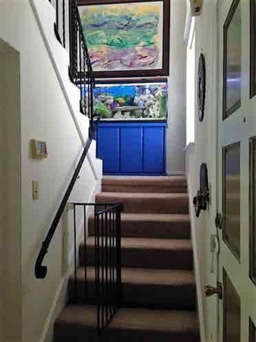 Room for Rent- Beautiful House $