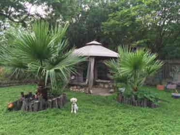 Room for Rent- Beautiful House $