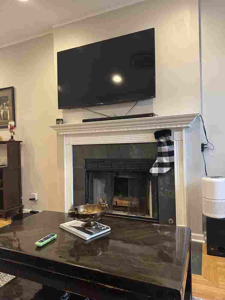 Roommate for West Town Condo