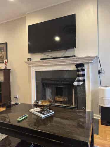 Roommate for West Town Condo