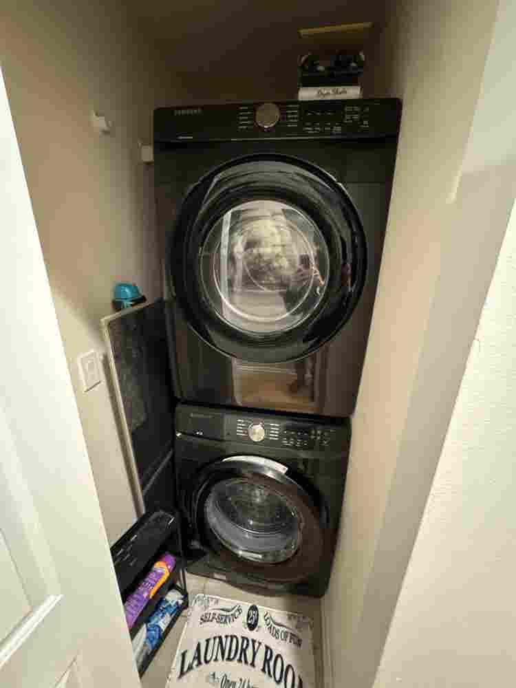 Roommate for West Town Condo