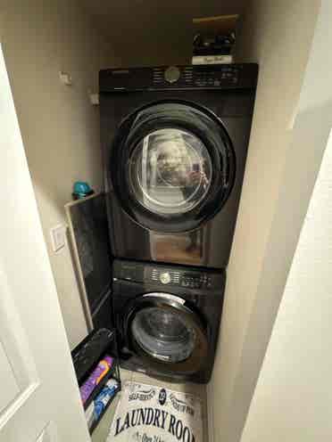 Roommate for West Town Condo