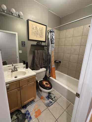 Roommate for West Town Condo
