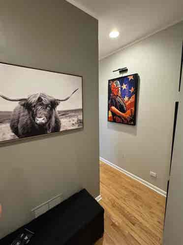Roommate for West Town Condo