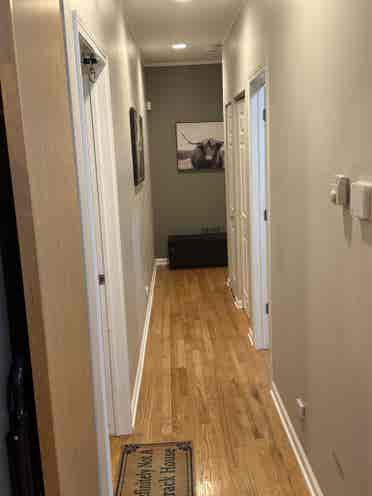 Roommate for West Town Condo
