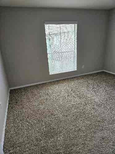 Looking for a female roommate