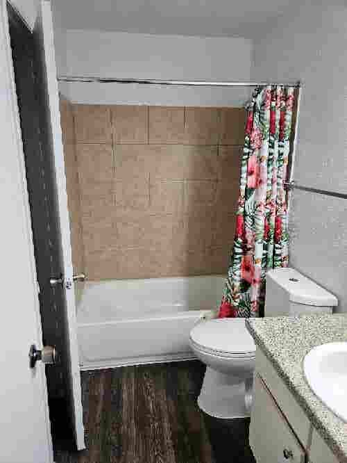 Looking for a female roommate