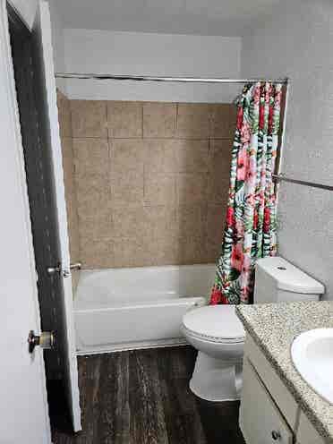 Looking for a female roommate