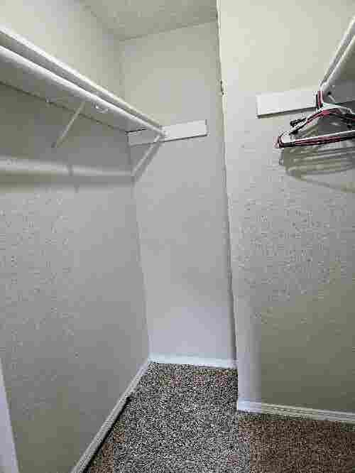 Looking for a female roommate