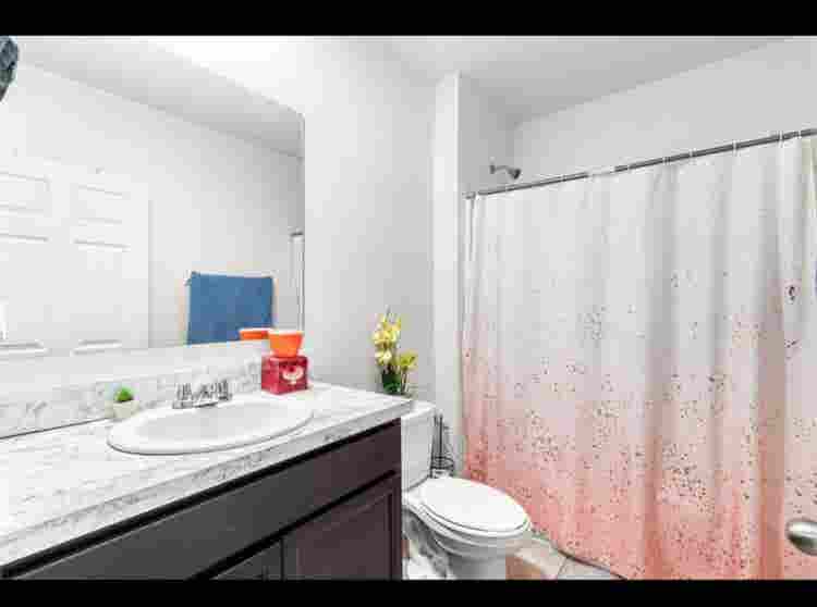 Female Roommate Wanted