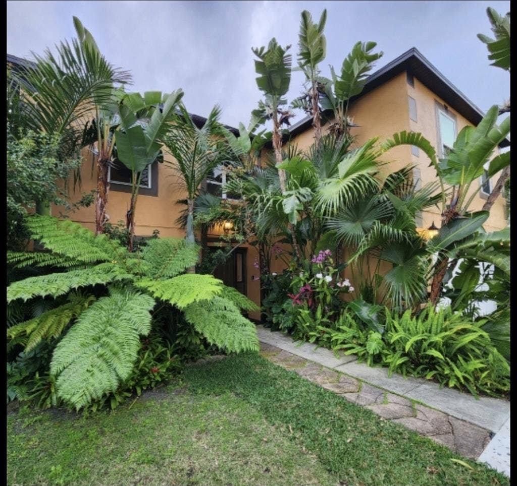 Very Nice Tropical Paradise Home