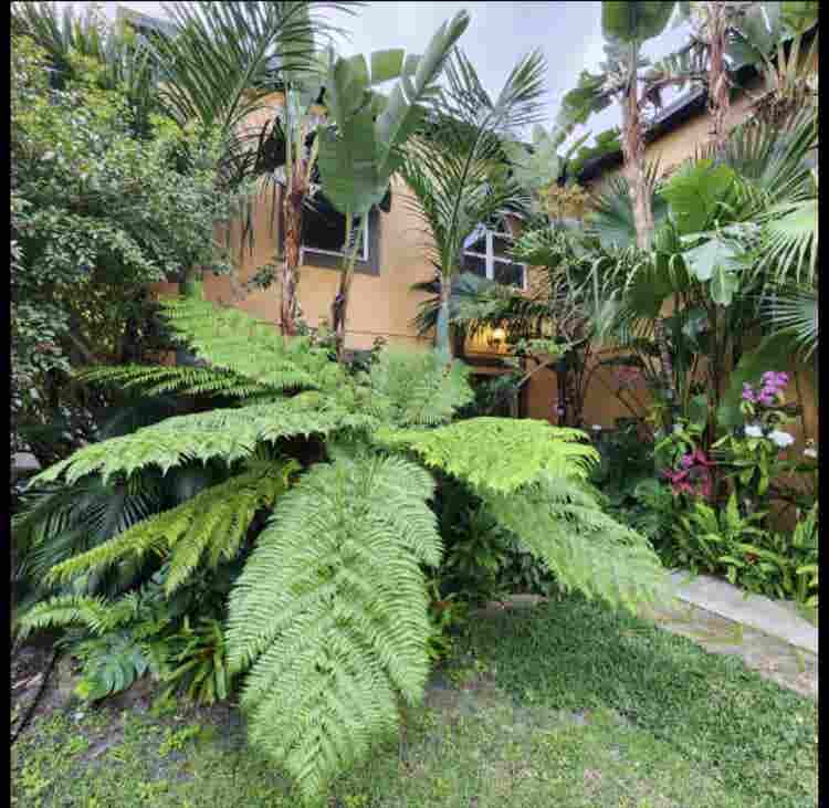 Very Nice Tropical Paradise Home