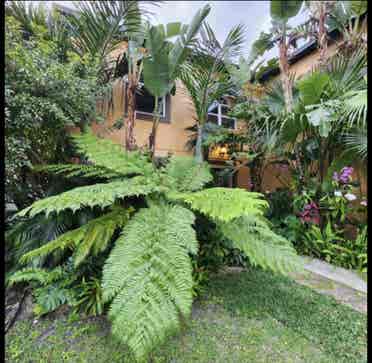 Very Nice Tropical Paradise Home