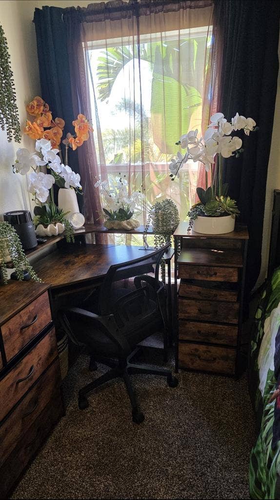 Very Nice Tropical Paradise Home