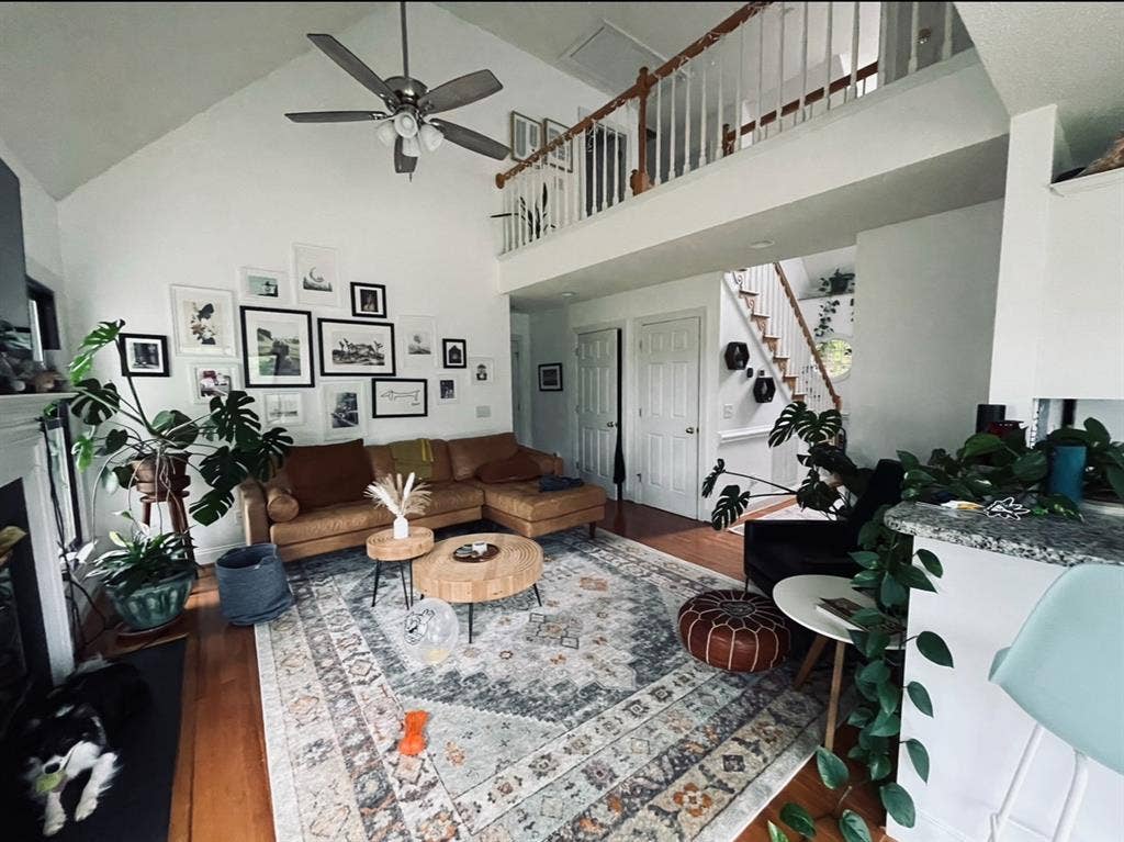 Looking for one chill roomie