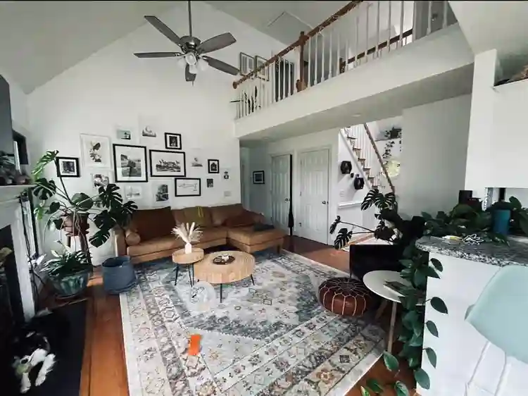 Looking for one chill roomie