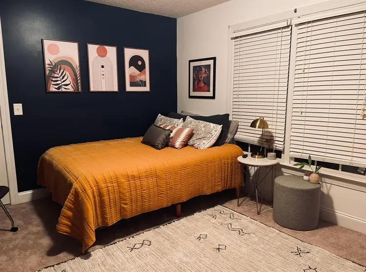 Looking for one chill roomie