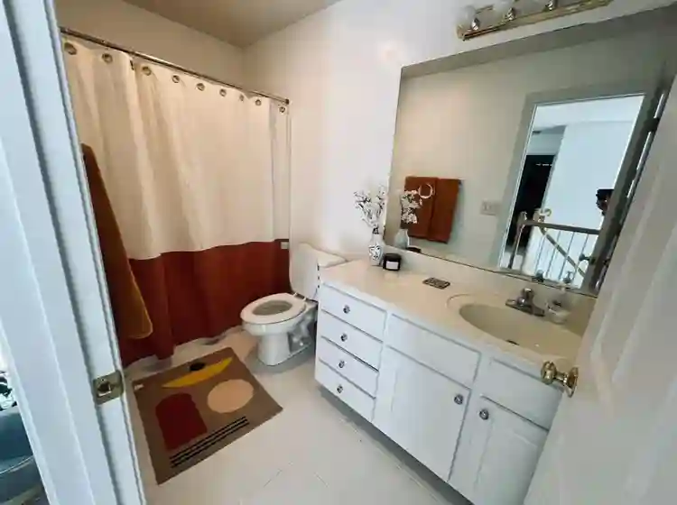 Looking for one chill roomie